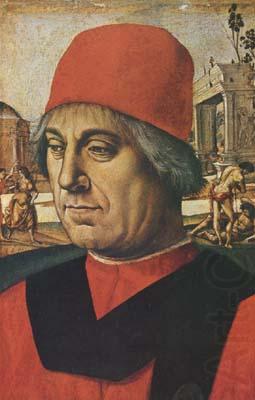 Portrait of a Lawyer (mk08), Luca Signorelli